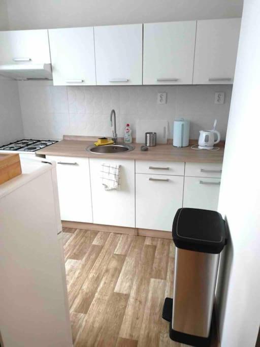 פראג Family Mk Apartment מראה חיצוני תמונה